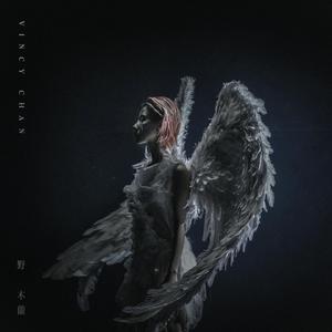 欧美特黄一级视频
